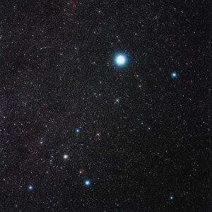 Canis Major constellation