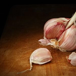 Garlic, artwork