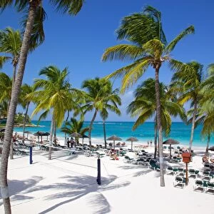 Beach and palm trees, Long Bay, Antigua, Leeward Islands, West Indies, Caribbean, Central America