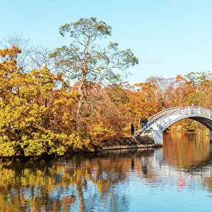 Beautiful Hakamagoshi Bridge on Lake Onuma on a vibrant autumn day, Hokkaido, Japan, Asia