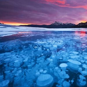 Bubbles and Cracks in the Ice with Kista Peak in the Background at Sunrise, Abraham Lake