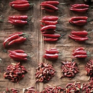 Chilies for sale