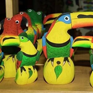 Toucans Related Images