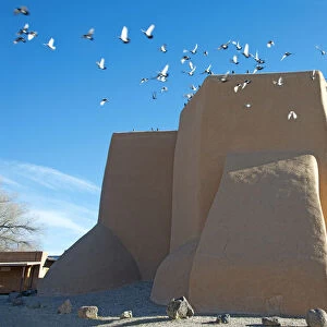 Flock of pigeons flying from the historic adobe San Francisco de Asis church in Taos