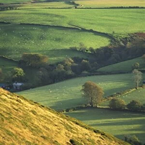 Rural landscape near Oare, Exmoor, Somerset, England, United Kingdom, Europe