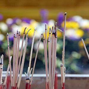 Incense sticks burning at a Buddhist temple, Bangkok, Thailand