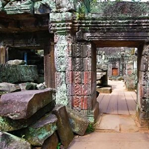 Ruins at Ta Prohm Temple, Angkor, Siem Reap, Cambodia