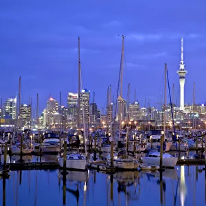 Auckland City and Harbour, Auckland, New Zealand, Pacific Ocean