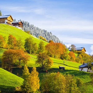 Italy, autumn scenic outdoor, foliage and green hills with snowy trees, Val di Funes