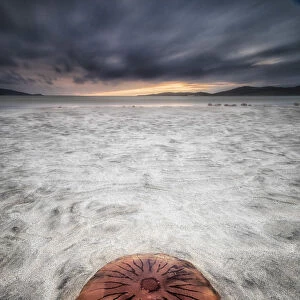Jellyfish stranded on Lusketyre beach, Island of Harris, Outer Hebrides, Scotland