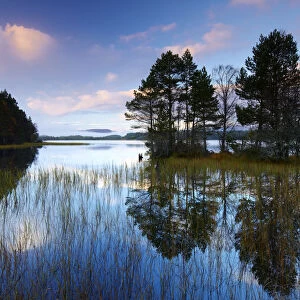 Loch Garten Reflections, Highland Region, Scotland