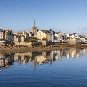 Port of Roscoff in the morning light, Cotes-d Armor, Brittany, France