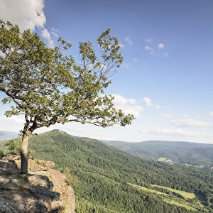 View from Battertfelsen Rocks on Baden Baden, Black Forest, Baden-Wurttemberg, Germany