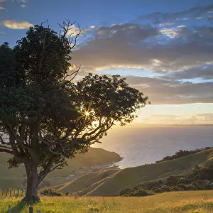 View of Firth of Thames at sunset, Coromandel Peninsula, North Island, New Zealand