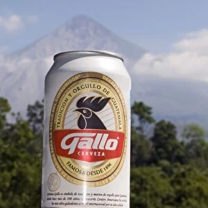 Gallo beer (The Cock) Guatemalan beer