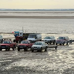 Licensed cockle pickers vehicles on shore during picking from cockle beds, Foulnaze Bank, between Lytham and Southport