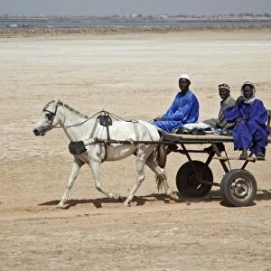 Senegalese men riding charette horse pulled taxi, Kaolack, Senegal, january