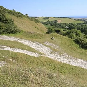 View over chalk downland habitat, Brighstone Down, Isle of Wight, England, june