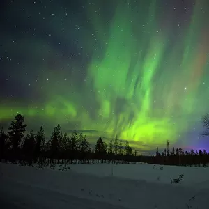 Abisko, Sweden. Chasing the Northern Lights (Aurora Borealis) in Swedish Lapland