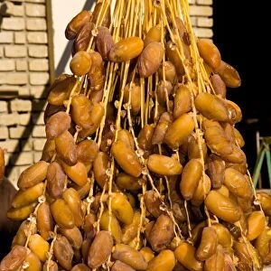 Dates hanging on street scene of Tozeur on the edge of the Sahara Deseret in Tunisia