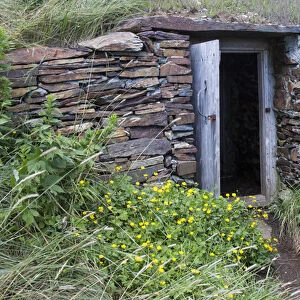 North America, Canada, NL, root cellar in Elliston, the root cellar capital of the world