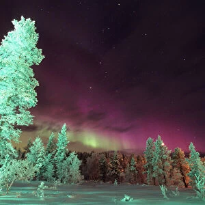 Scandinavia, Finland, Lapland, Kakslauttanen, The Aurora borealis