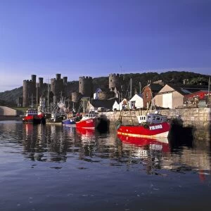 Wales, Conwy Co. Conwy. Fishing boats are moored at days end at the quay near