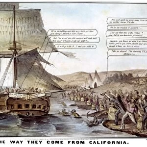 GOLD RUSH CARTOON, 1849. The Way They Come From California