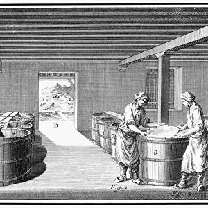 LEATHER MANUFACTURE. Hides prepared for tanning by curing in a leaven of barley water, a method far less tedious than liming but suited only to better grade hides. Line engraving, French, 18th century