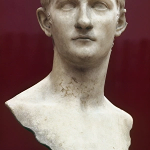 Roman emperor, 37-41 A. D. Roman marble bust