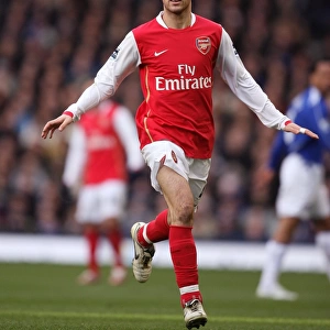 Cesc Fabregas: Leading Arsenal to Victory at Goodison Park, 18/3/2007