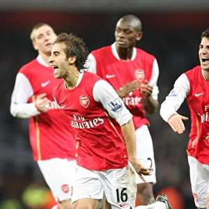 Flamini, Fabregas, Bendtner, Diaby: Arsenal's Unstoppable Trio Celebrates 3-0 Over Newcastle