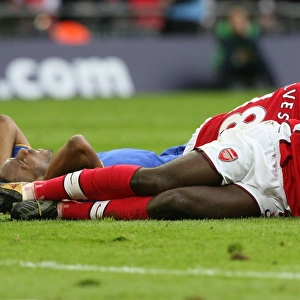 Kolo Toure and Mikael Silvestre (Arsenal)