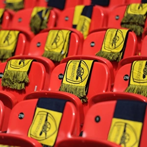 Sea of Scarves: Arsenal's Dominance at the FA Cup Final, Wembley Stadium (2015)