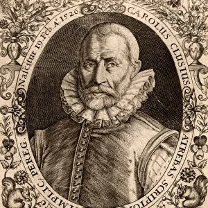 Carolus Clusius (Charles l Escluse) (1526-1609). French botanist, professor of