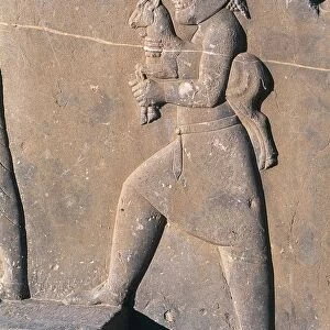 Iran, Persepolis, Palace of Xerxes, relief of tribute bearer