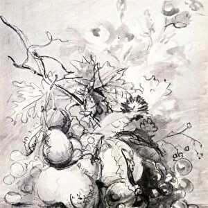 Still Life with Fruits. Charcoal and grey wash. Jan van Huysum (1682-1749) Dutch painter