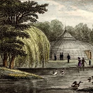 Surrey Zoological Gardens, Walworth, London, England. Engraving after the drawing