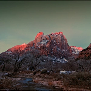 Pre-dawn light in Zion national park, Utah, USA