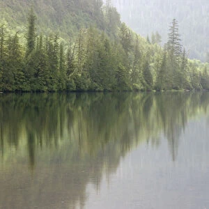 alaska, color image, day, forest, horizontal, lake, landscape, lush foliage, no people