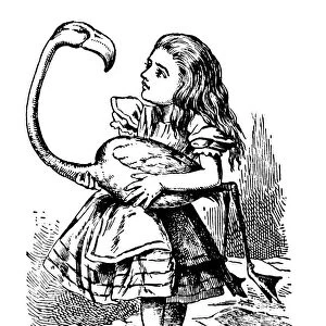 Alice Holding a Bird, Alices Adventures in Wonderland