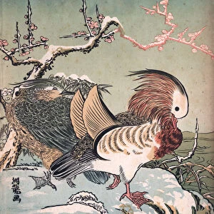 Art of Japan, Mandarin ducks (Aix galericulata) in winter