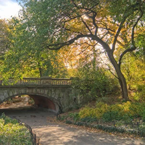 A bridge in Central Park, NYC