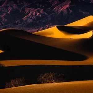 Death Valley Sand Dunes in Last Light