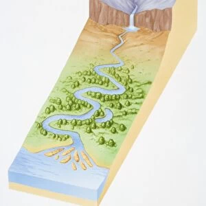 Illustration, three dimensional section of landscape showing river flowing out of mountains, through woodland valley and into sea
