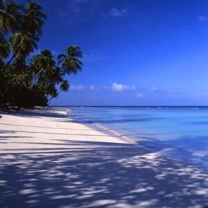 Beach on Tobego, West Indies