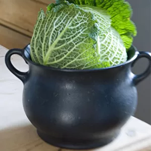 Cabbage sitting in iron cooking pot in kitchen credit: Marie-Louise Avery / thePictureKitchen