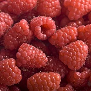 Fresh whole raspberries credit: Marie-Louise Avery / thePictureKitchen / TopFoto