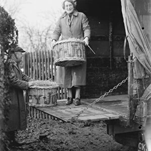 Mrs E Butcher carrying a basket on the back of ans Buthcer Carrier Bedford lorry