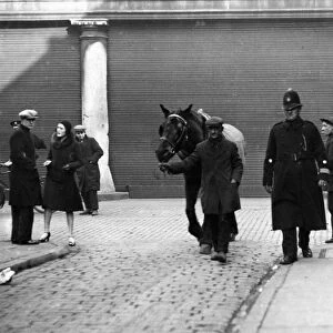 PC Dent and a lame horse - if the horse was not fit for work, then it would be immediately